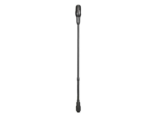 A1